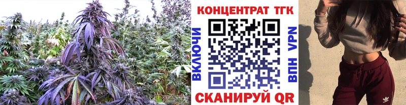 Дистиллят ТГК Wax  Сусуман 